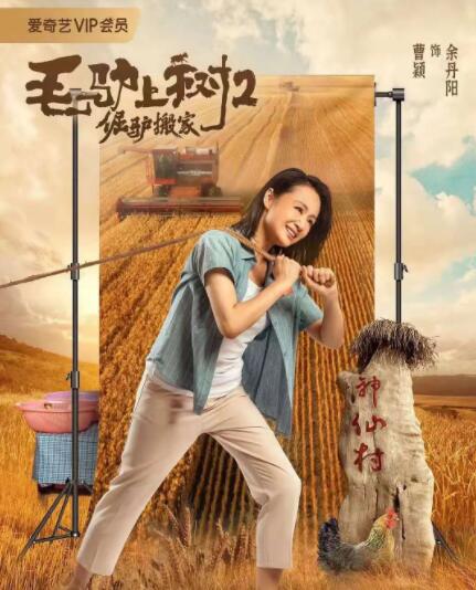 结婚不要恋爱