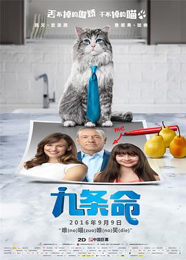 玖草视频在线