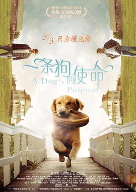 亚洲欧美在线观看视频