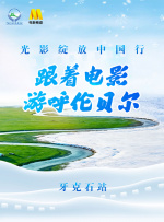 岛国国产精品
