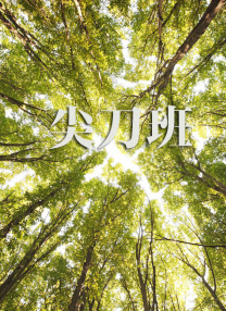 日韩专区在线观看