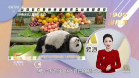 久久青草福利网站